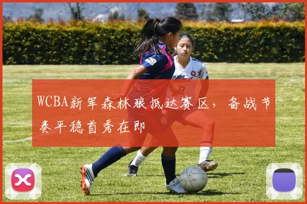 WCBA新军森林狼抵达赛区，备战节奏平稳首秀在即